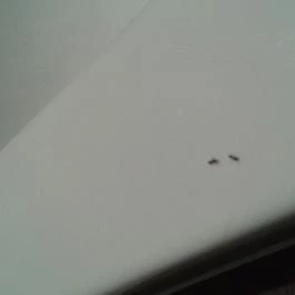 Royal Club Hotel, Visegrád - Egyéb