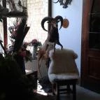 Tercia Hubertus étterem Sopron - Külső kép