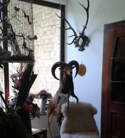 Tercia Hubertus étterem