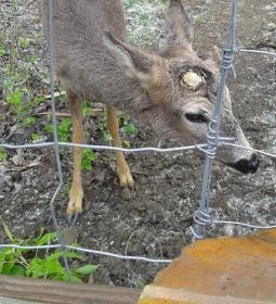 Tisza-tavi Ökocentrum