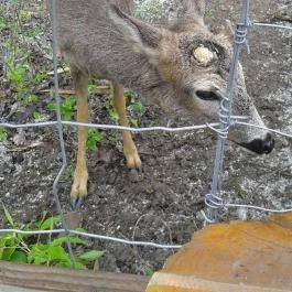 Tisza-tavi Ökocentrum Poroszló - Egyéb