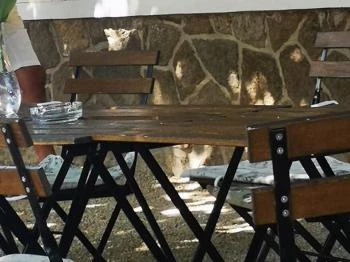 Tihanyi Gasztrokert Tihany