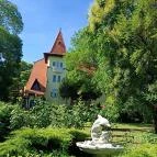 Fried Kastély Hotel Simontornya - Medence/kert