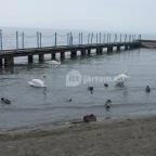 Hotel Magistern Konferencia & Wellness Siófok - Környék