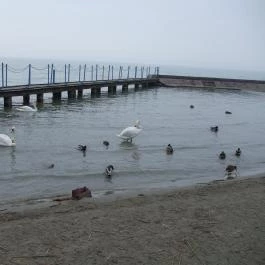 Hotel Magistern Konferencia & Wellness, Siófok - Környék