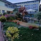 SunGarden Wellness Hotel Siófok - Medence/kert
