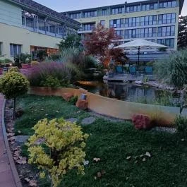 SunGarden Wellness Hotel, Siófok - Medence/kert