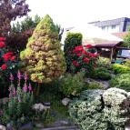 Wellness Hotel Katalin Gyenesdiás - Egyéb