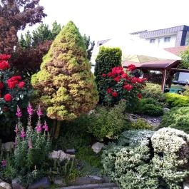 Wellness Hotel Katalin, Gyenesdiás - Egyéb