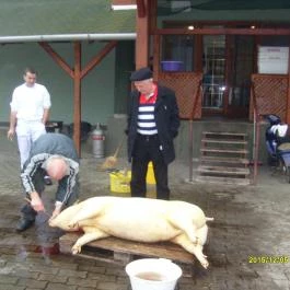 Hajnal Hotel Mezőkövesd - Környék
