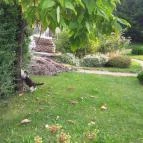 Hotel Villa Völgy Eger - Medence/kert