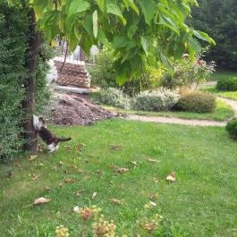 Hotel Villa Völgy, Eger - Medence/kert