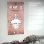 Kőbányai Helytörténeti Gyűjtemény Budapest - 