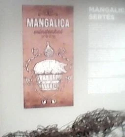 Kőbányai Helytörténeti Gyűjtemény