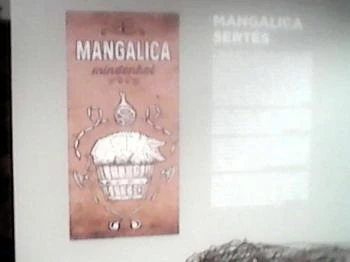 Kőbányai Helytörténeti Gyűjtemény Budapest Kőbányai Helytörténeti Gyűjtemény Budapest