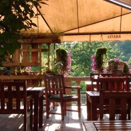 Duna Wellness Hotel Baja - Medence/kert