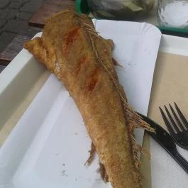 Evezős Sörkert & Bowling Club, Budapest - Étel/ital