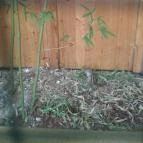 Mókus Sörkert - Étterem & Terasz Budapest - Külső kép