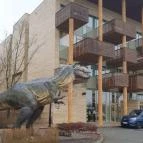 Pangea Hotel Nyíregyháza - Sóstó - Egyéb