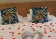 Pangea Hotel Nyíregyháza - Sóstó