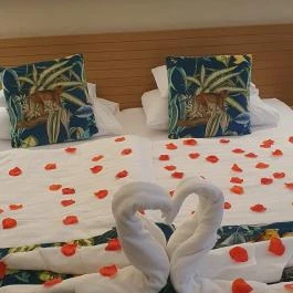 Pangea Hotel Nyíregyháza - Sóstó - Egyéb