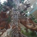 Pangea Hotel Nyíregyháza - Sóstó - Egyéb