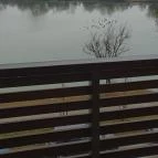 Pangea Hotel Nyíregyháza - Sóstó - Egyéb