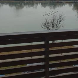 Pangea Hotel Nyíregyháza - Sóstó - Egyéb