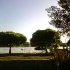 Tóparti Halászcsárda Tata - Egyéb