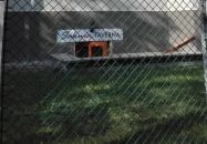 Villa Sakura Panzió Sopron