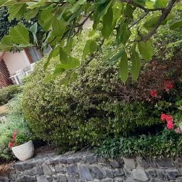 Club Dobogómajor, Cserszegtomaj - Külső kép