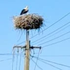 Ágas-Bogas Vendégház Poroszló - Külső kép