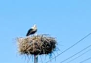 Ágas-Bogas Vendégház Poroszló