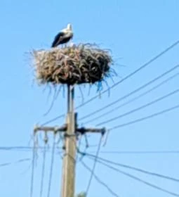 Ágas-Bogas Vendégház