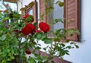 Ágas-Bogas Vendégház Poroszló