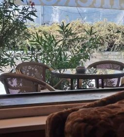 Arany Strucc Cukrászda