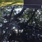 Balatoni Élménypark Nosztori Csopak - Külső kép