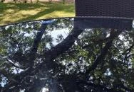 Balatoni Élménypark Nosztori Csopak