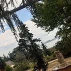 Folly Arborétum Badacsonyörs - Egyéb