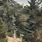 Folly Arborétum Badacsonyörs - Egyéb