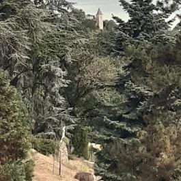 Folly Arborétum, Badacsonyörs - Egyéb