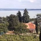 Folly Arborétum Badacsonyörs - Egyéb