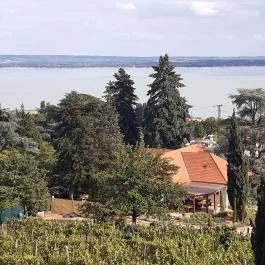 Folly Arborétum, Badacsonyörs - Egyéb