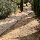 Folly Arborétum Badacsonyörs - Egyéb