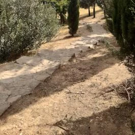 Folly Arborétum, Badacsonyörs - Egyéb