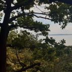 Folly Arborétum Badacsonyörs - Egyéb