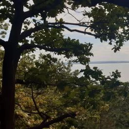 Folly Arborétum, Badacsonyörs - Egyéb