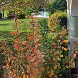 Hasik Hotel Döbrönte - Külső kép