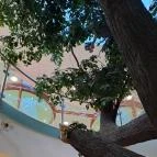 Magyar Természettudományi Múzeum Mátra Múzeuma Gyöngyös - Belső