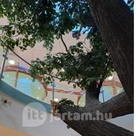 Magyar Természettudományi Múzeum Mátra Múzeuma, Gyöngyös - Belső